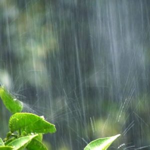 「水害」が多発・激甚化!自然災害リスクで不動産の価値が下がる?